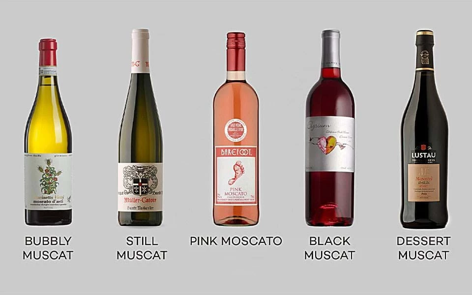 RƯỢU MOSCATO LÀ GÌ?