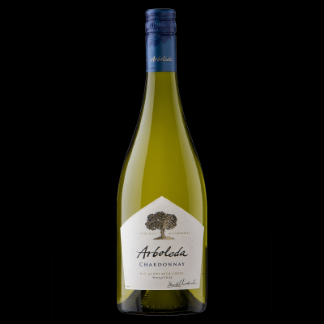 RƯỢU VANG ARBOLEDA CHARDONNAY