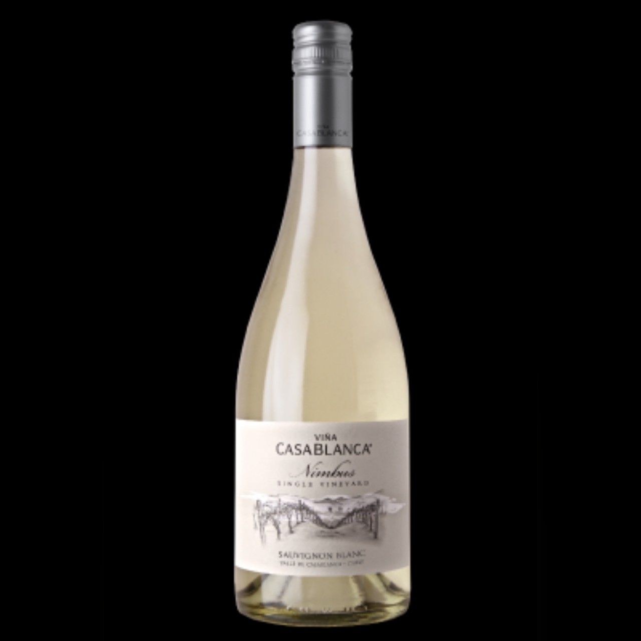 RƯỢU VANG CASABLANCA NIMBUS SINGLE VINEYARD SAUVIGNON BLANC